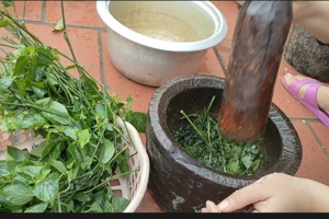 Thành tích Nhà trường