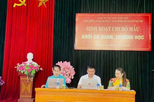 Sinh hoạt chi bộ kiểu mẫu